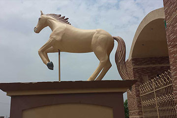 shalimar-town-shahkot